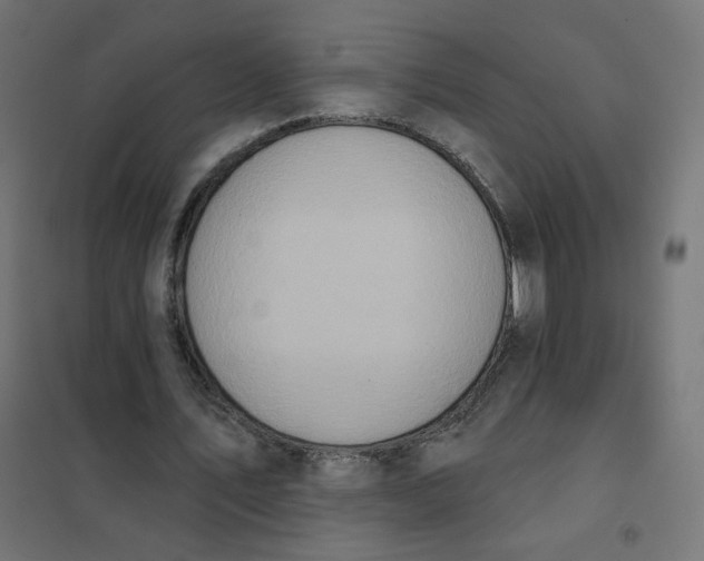 X0000102040579200808081837