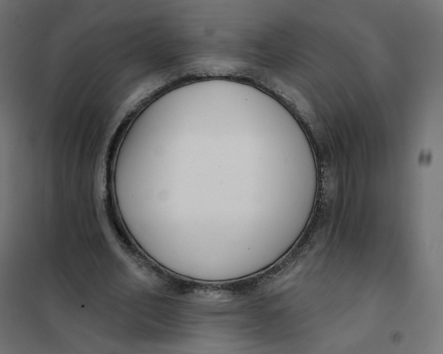 X0000102040582200808081837