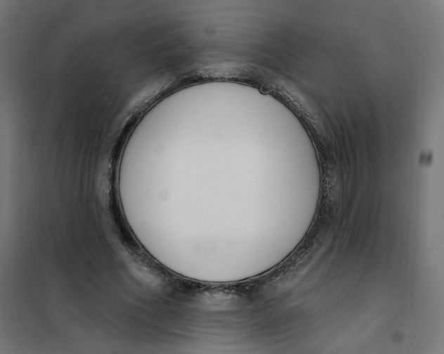 X0000102040586200808081837