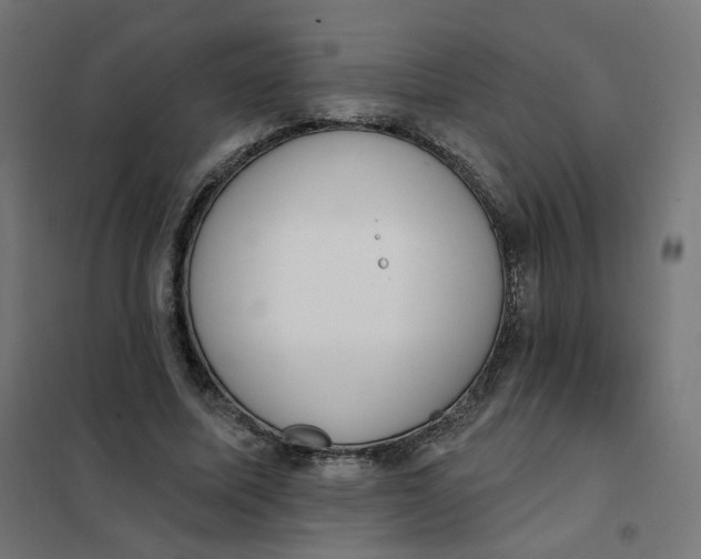 X0000102040587200808081837