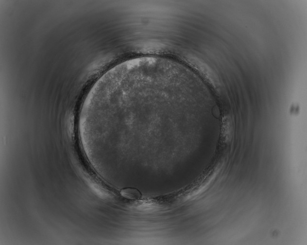 X0000102040589200808081837