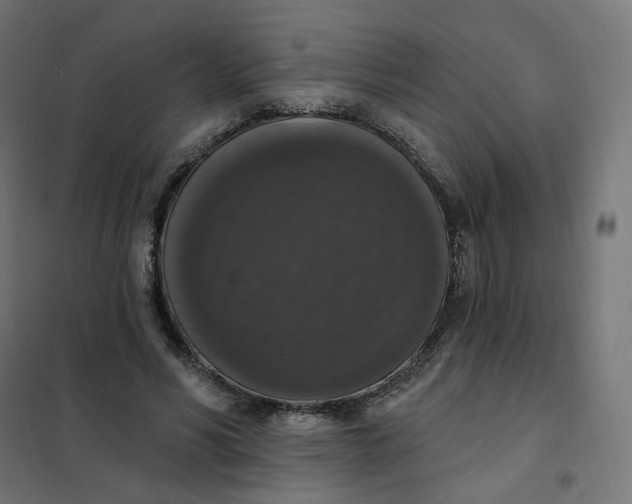 X0000102040590200808081837