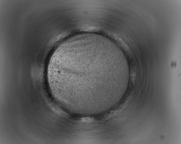 X0000102040591200808081837