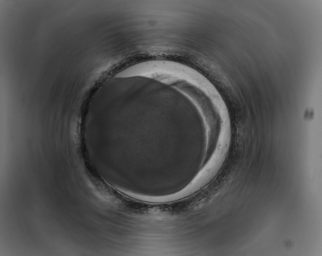 X0000102040592200808081837