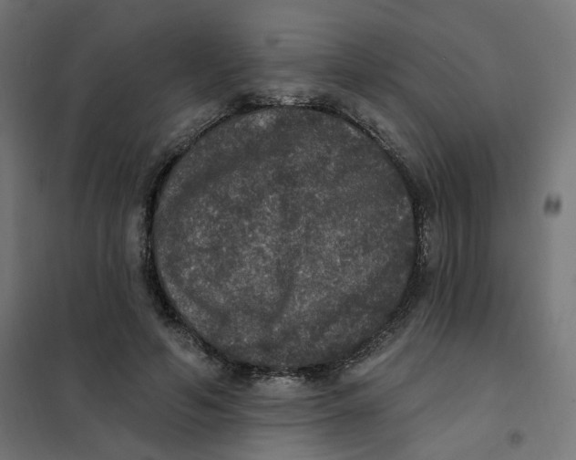 X0000102040594200808081837