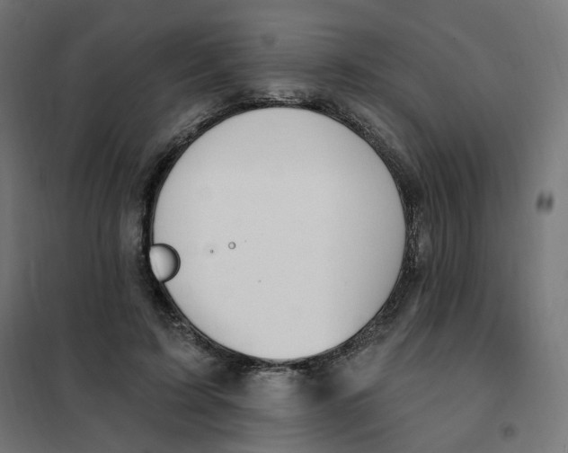 X0000102040595200808081837