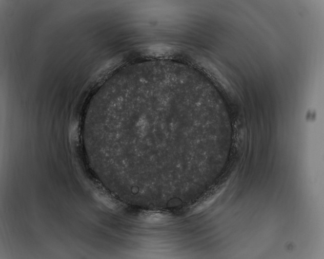 X0000102040597200808081837