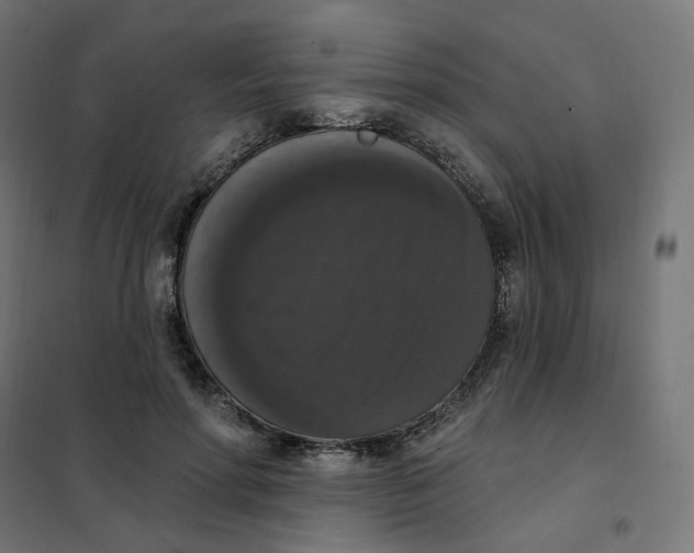 X0000102040598200808081837