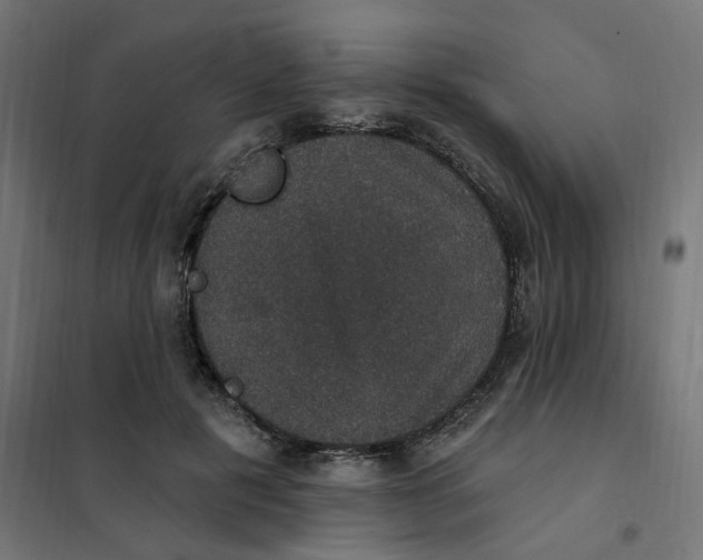 X0000102040601200808081837