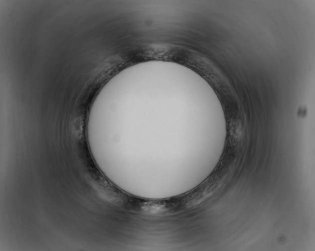 X0000102040602200808081837