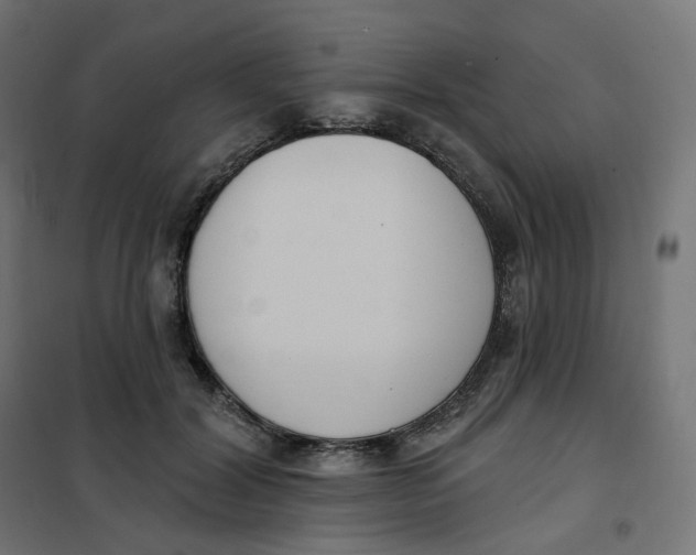 X0000102040604200808081837