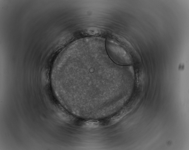 X0000102040606200808081836