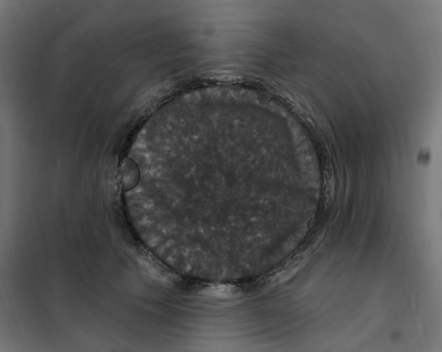 X0000102040609200808081836