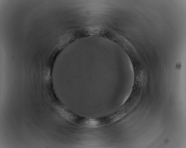 X0000102040610200808081836