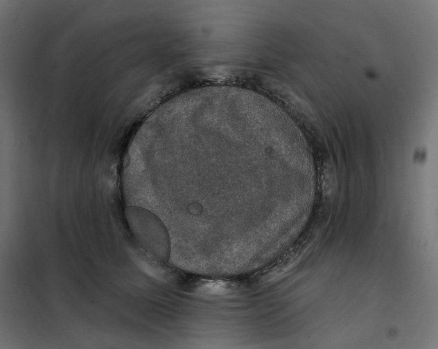 X0000102040611200808081836