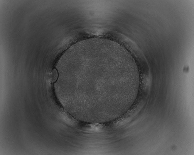 X0000102040612200808081836