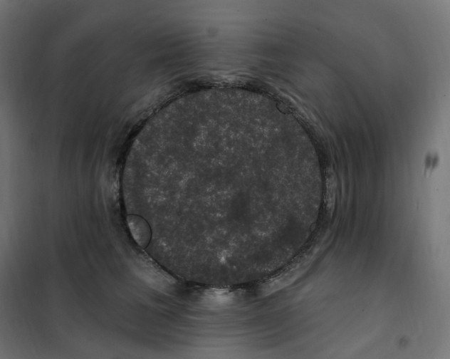 X0000102040613200808081836