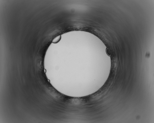 X0000102040615200808081836