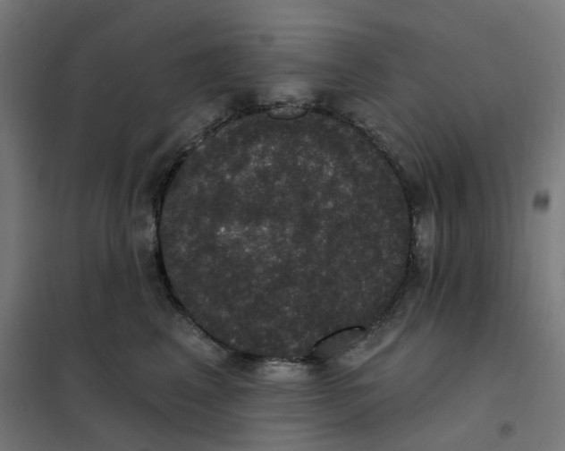 X0000102040617200808081836