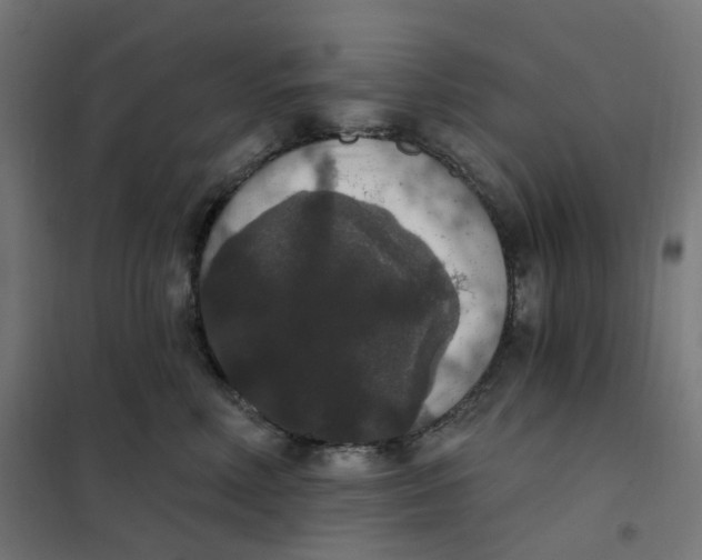 X0000102040618200808081836