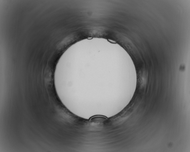 X0000102040619200808081836