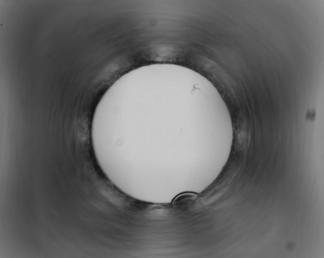 X0000102040620200808081836