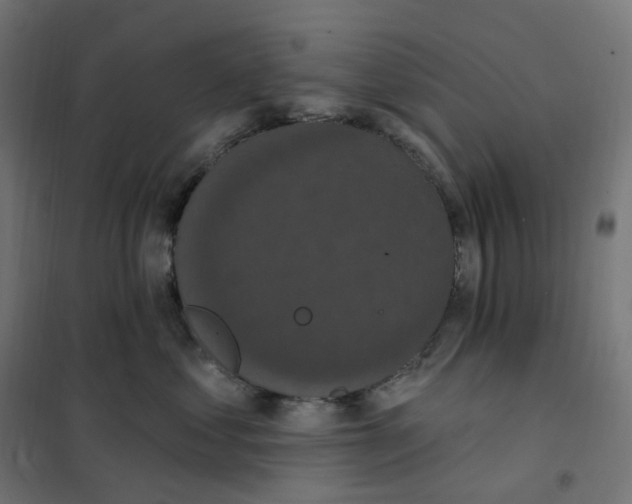 X0000102040621200808081836