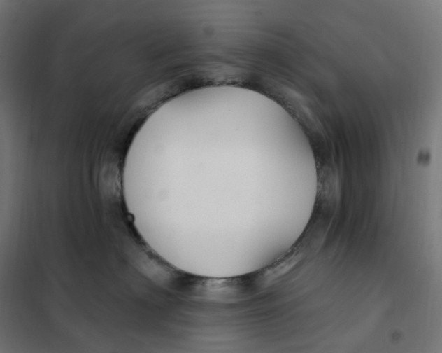 X0000102040622200808081836