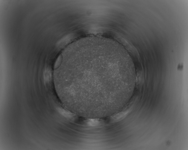 X0000102040623200808081836