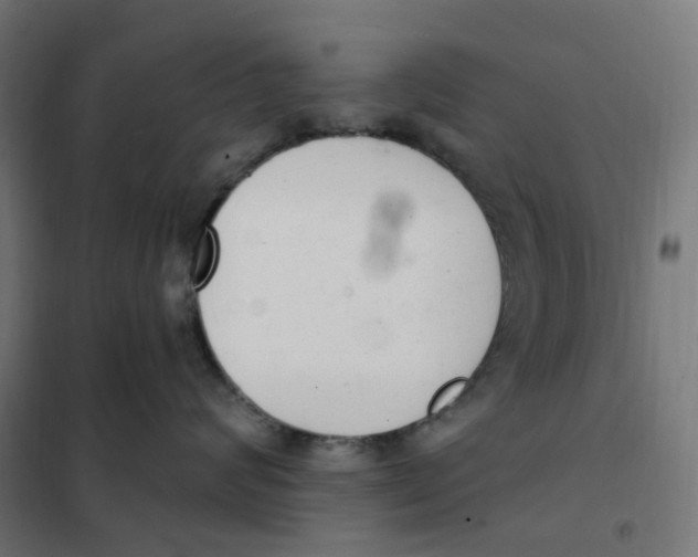 X0000102040624200808081836