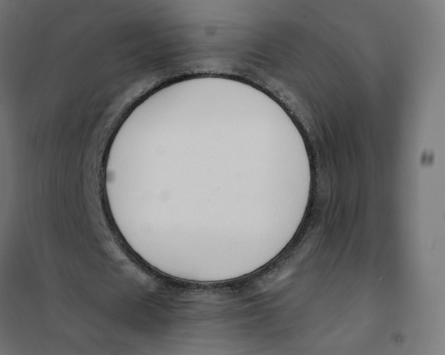 X0000102040625200808081835