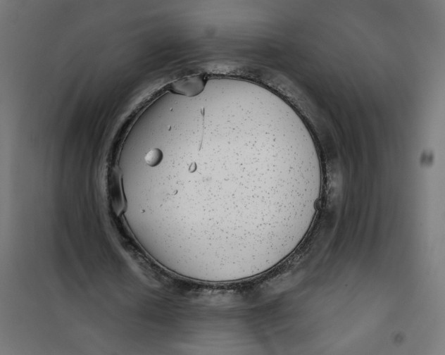 X0000102040626200808081835