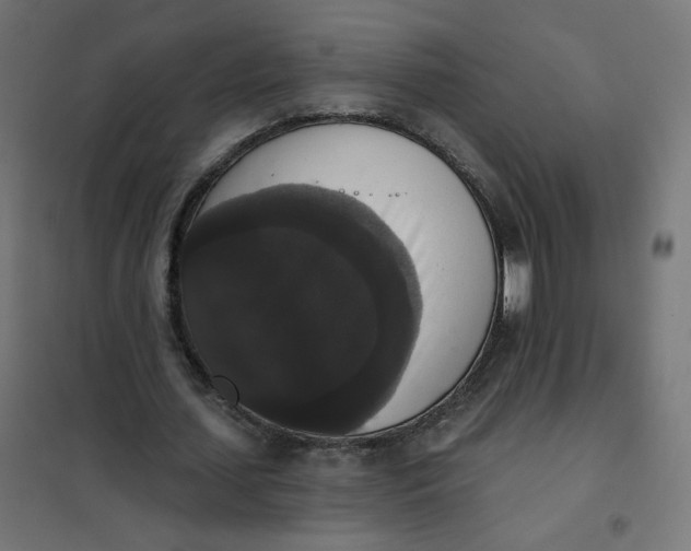 X0000102040627200808081835