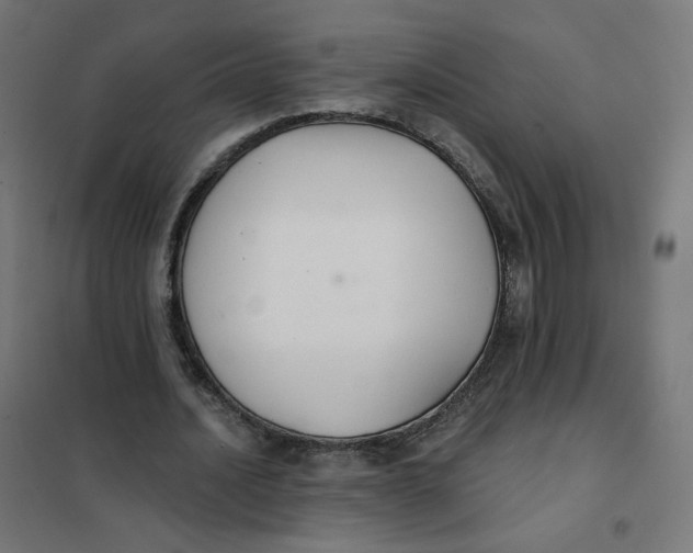 X0000102040628200808081835