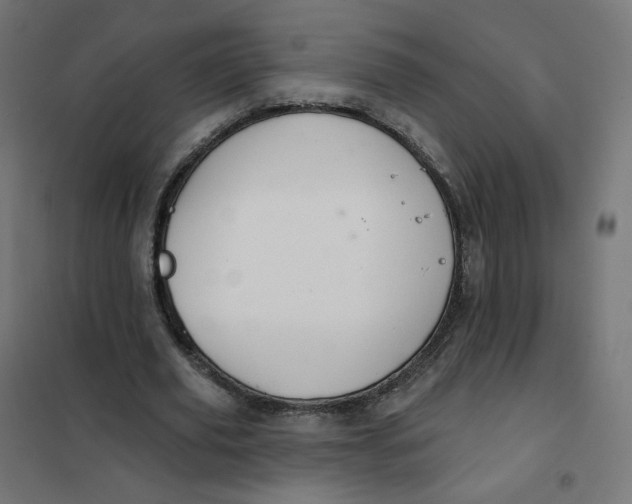 X0000102040629200808081835