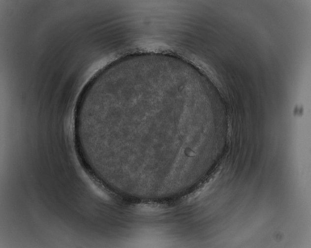 X0000102040630200808081835