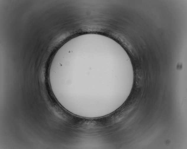 X0000102040631200808081835