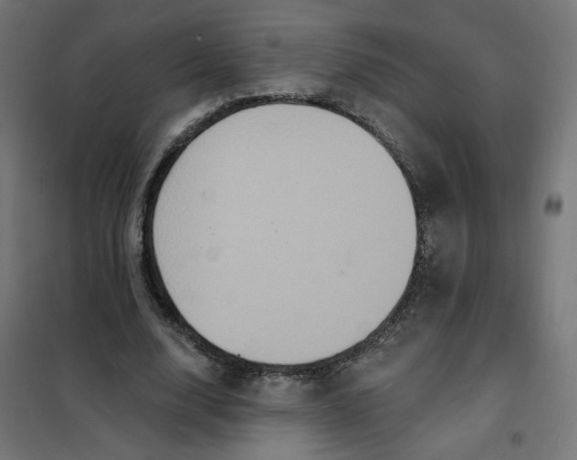 X0000102040632200808081835