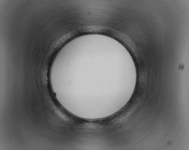 X0000102040633200808081835