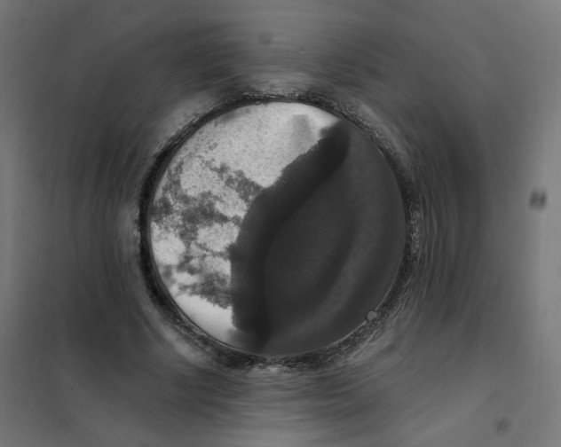 X0000102040634200808081835