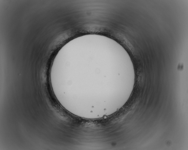 X0000102040635200808081836