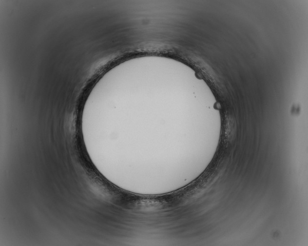 X0000102040636200808081836