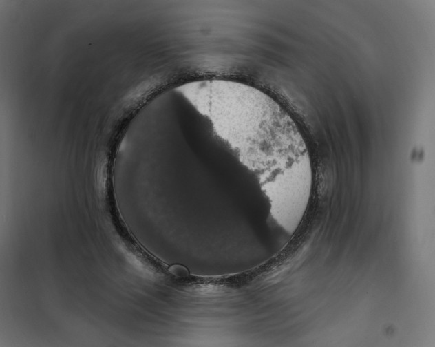 X0000102040637200808081836