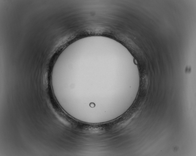 X0000102040638200808081836