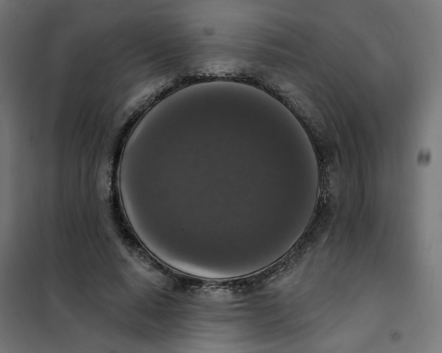 X0000102040640200808081836