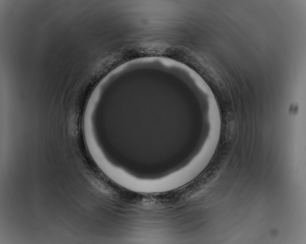 X0000102040641200808081836