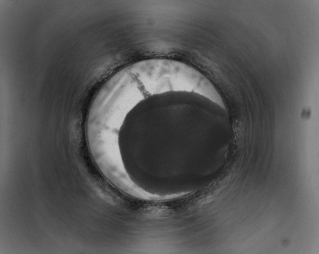 X0000102040642200808081836