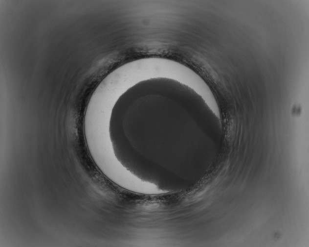 X0000102040643200808081836