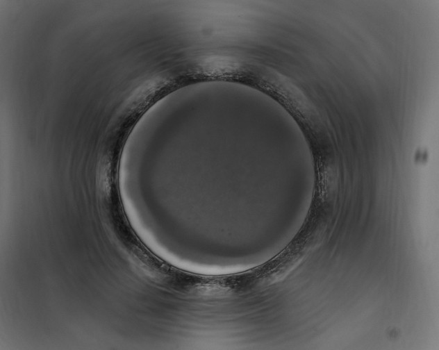 X0000102040644200808081836