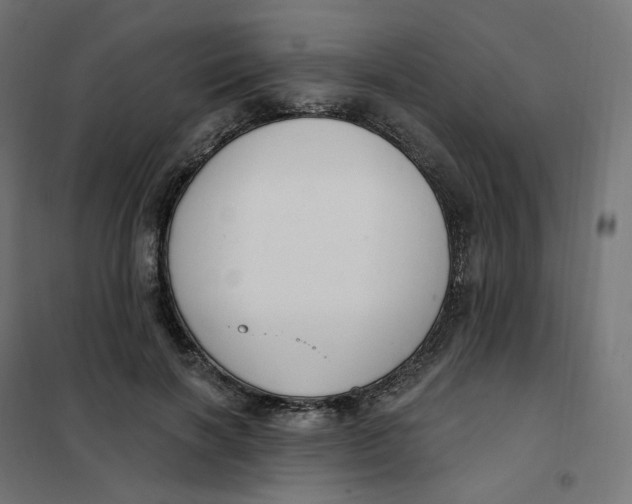 X0000102040646200808081836